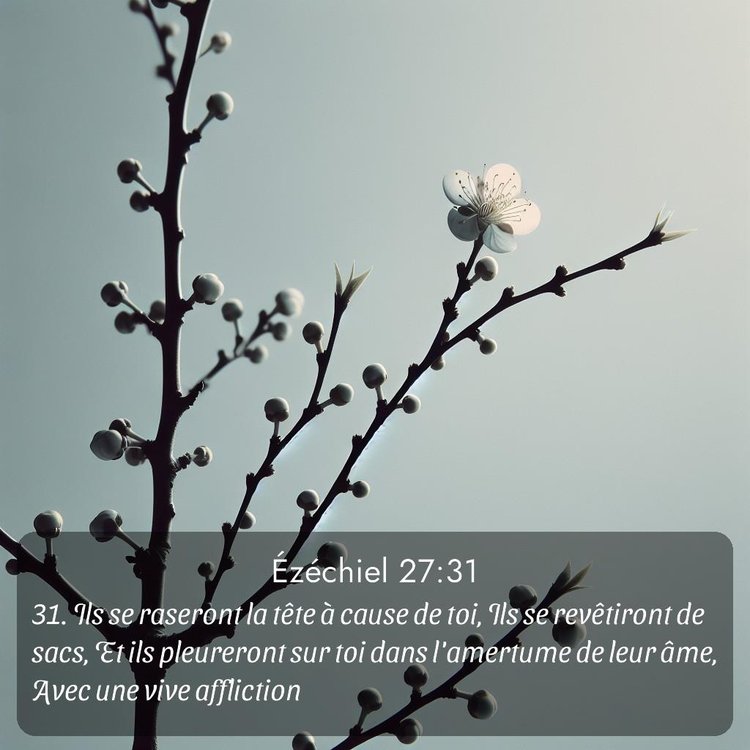 image nature avec verset biblique de la Bible