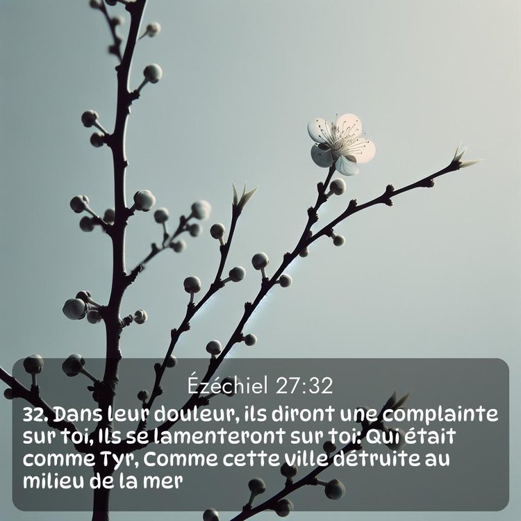 image nature avec verset biblique de la Bible