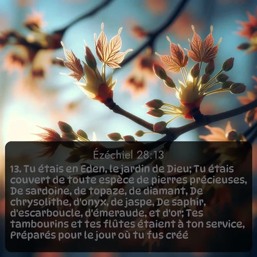 Segond Ézéchiel  ; image nature: image avec le verset biblique :Tu étais en Eden, le jardin de Dieu; Tu étais couvert de toute espèce de pierres précieuses, De sardoine, de topaze, de diamant, De chrysolithe, d&#039;onyx, de jaspe, De saphir, d&#039;escarboucle, d&#039;émeraude, et d&#039;or; Tes tambourins et tes flûtes étaient à ton service, Préparés pour le jour où tu fus créé. ;  ; 28:13