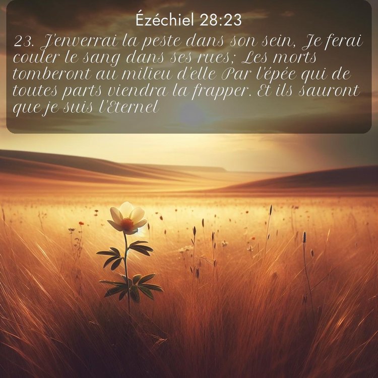 Segond Ézéchiel 28:23