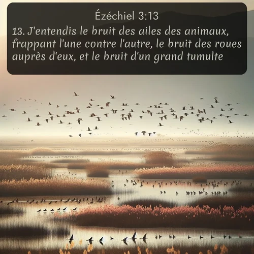 Segond Ézéchiel  ; image nature: image avec le verset biblique :J&#039;entendis le bruit des ailes des animaux, frappant l&#039;une contre l&#039;autre, le bruit des roues auprès d&#039;eux, et le bruit d&#039;un grand tumulte. ;  ; 3:13
