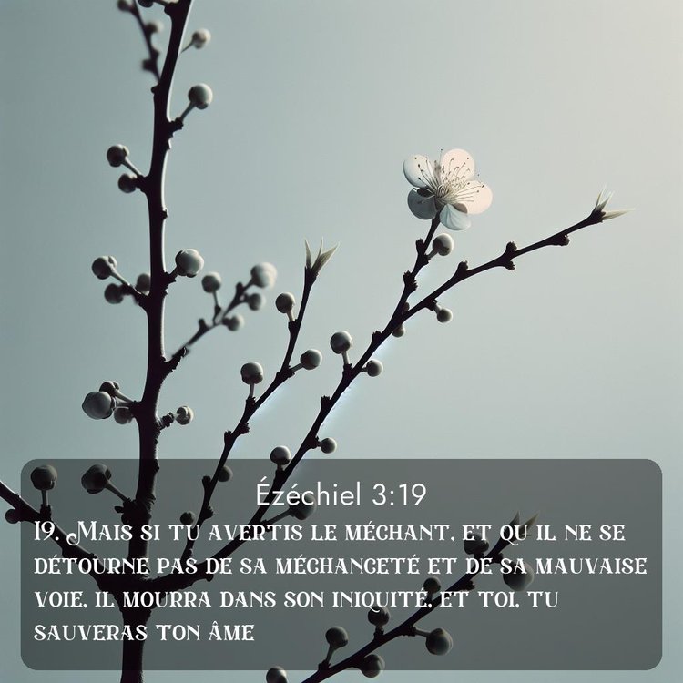 image nature avec verset biblique de la Bible