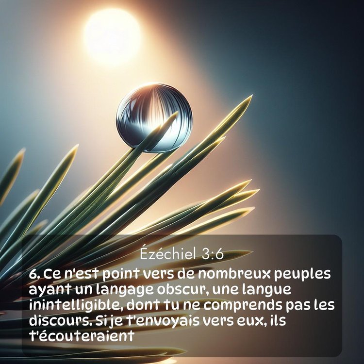 image nature avec verset biblique de la Bible