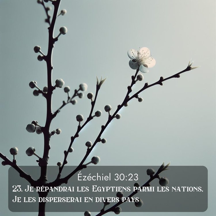 Segond Ézéchiel 30:23