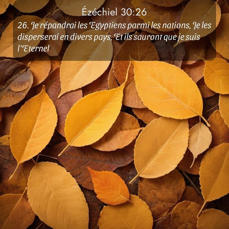 Segond Ézéchiel 30:26