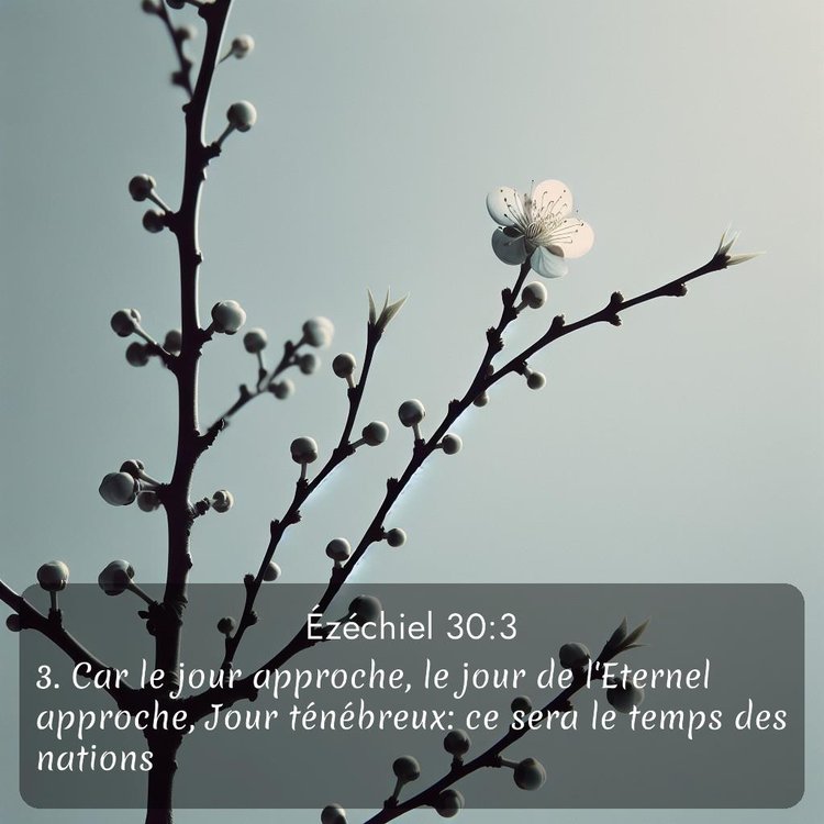 Segond Ézéchiel 30:3