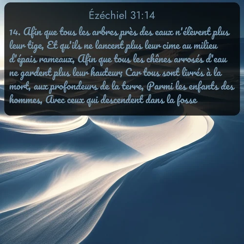 Segond Ézéchiel  ; image nature: image avec le verset biblique :Afin que tous les arbres près des eaux n&#039;élèvent plus leur tige, Et qu&#039;ils ne lancent plus leur cime au milieu d&#039;épais rameaux, Afin que tous les chênes arrosés d&#039;eau ne gardent plus leur hauteur; Car tous sont livrés à la mort, aux profondeurs de la terre, Parmi les enfants des hommes, Avec ceux qui descendent dans la fosse. ;  ; 31:14