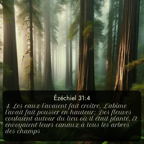 Segond Ézéchiel  ; image nature: image avec le verset biblique :Les eaux l&#039;avaient fait croître, L&#039;abîme l&#039;avait fait pousser en hauteur; Des fleuves coulaient autour du lieu où il était planté, Et envoyaient leurs canaux à tous les arbres des champs. ;  ; 31:4