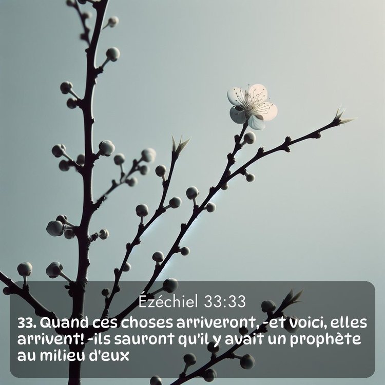 image nature avec verset biblique de la Bible