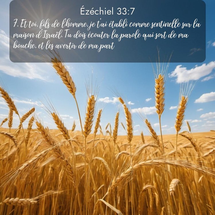 Segond Ézéchiel 33:7