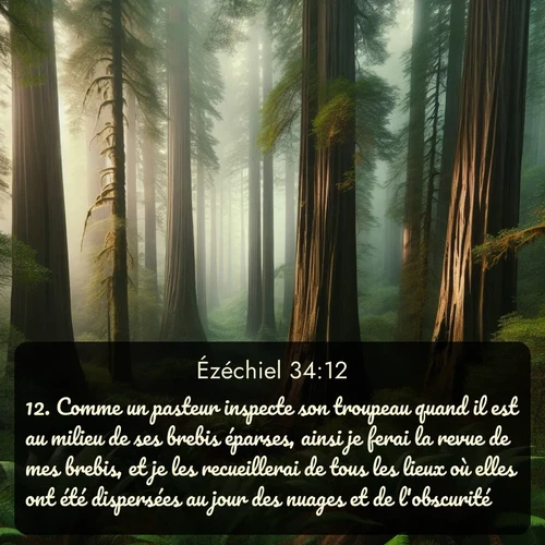 Segond Ézéchiel  ; image nature: image avec le verset biblique :Comme un pasteur inspecte son troupeau quand il est au milieu de ses brebis éparses, ainsi je ferai la revue de mes brebis, et je les recueillerai de tous les lieux où elles ont été dispersées au jour des nuages et de l&#039;obscurité. ;  ; 34:12