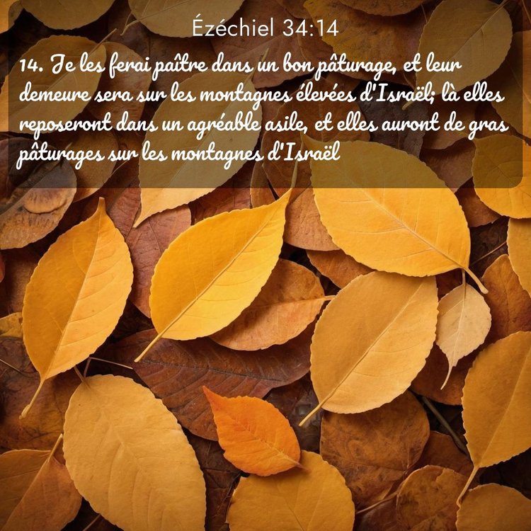 Segond Ézéchiel 34:14