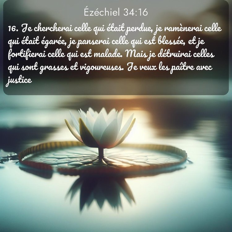 image nature avec verset biblique de la Bible