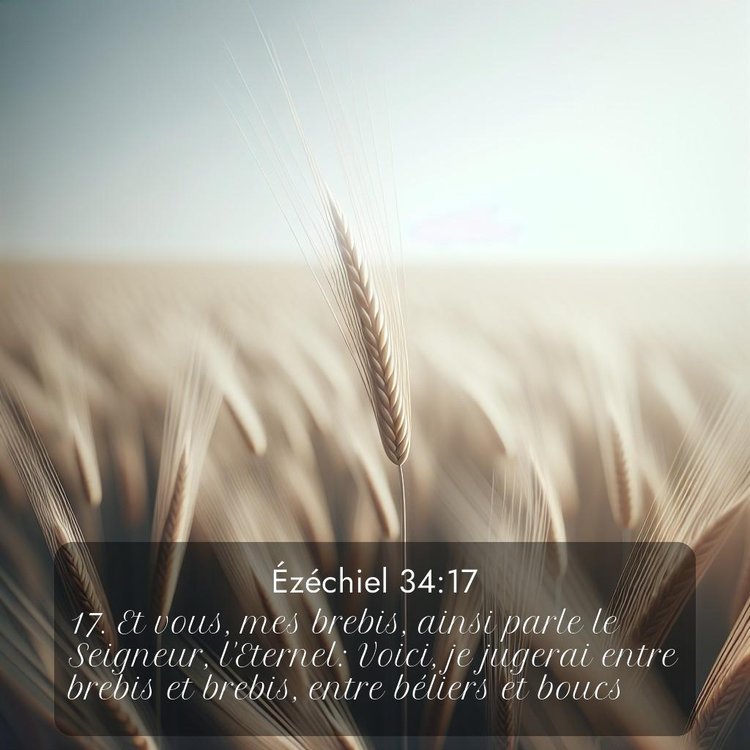 image nature avec verset biblique de la Bible