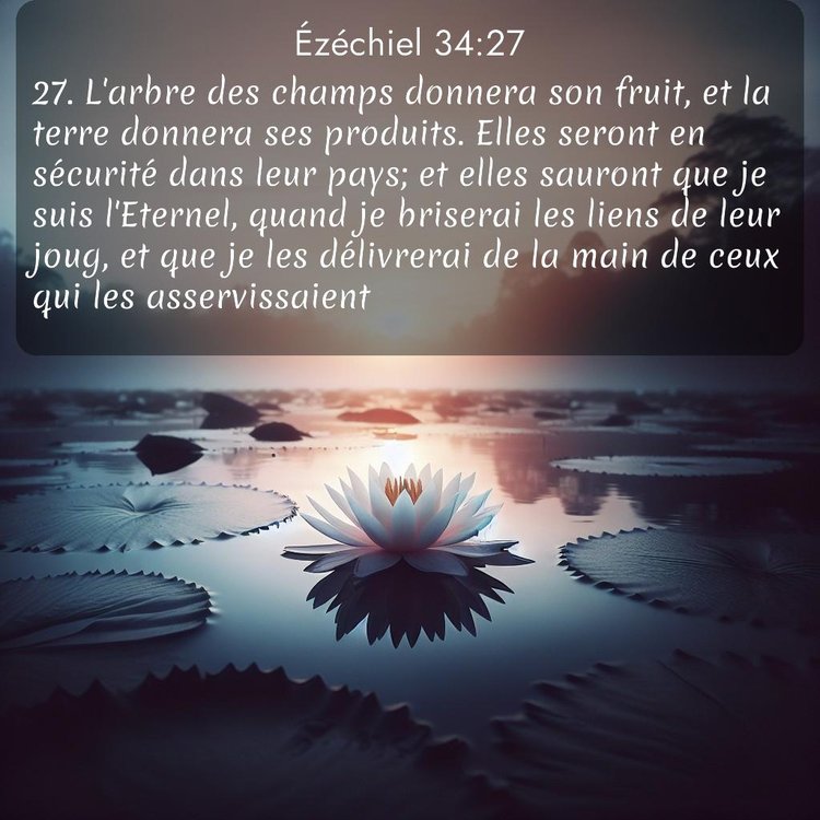 image nature avec verset biblique de la Bible
