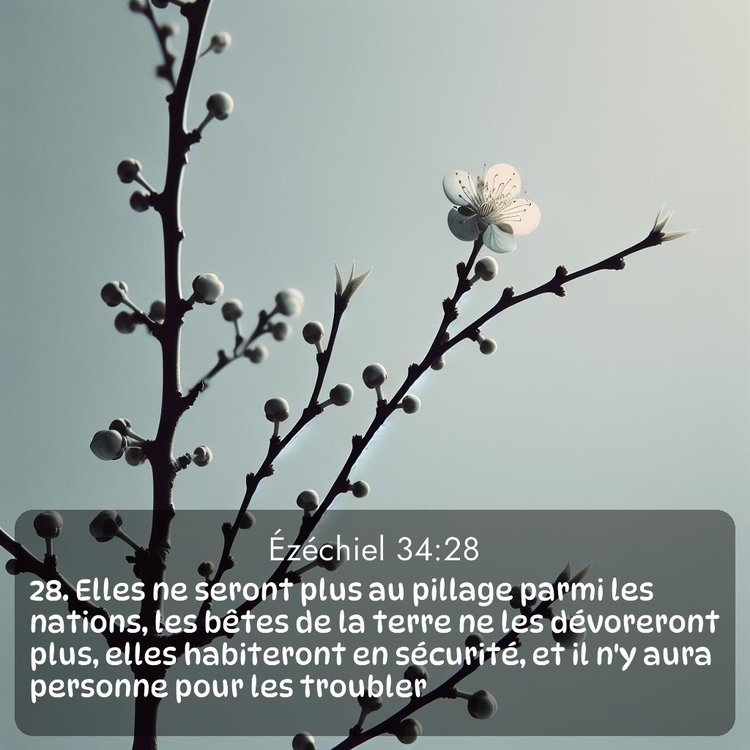 image nature avec verset biblique de la Bible