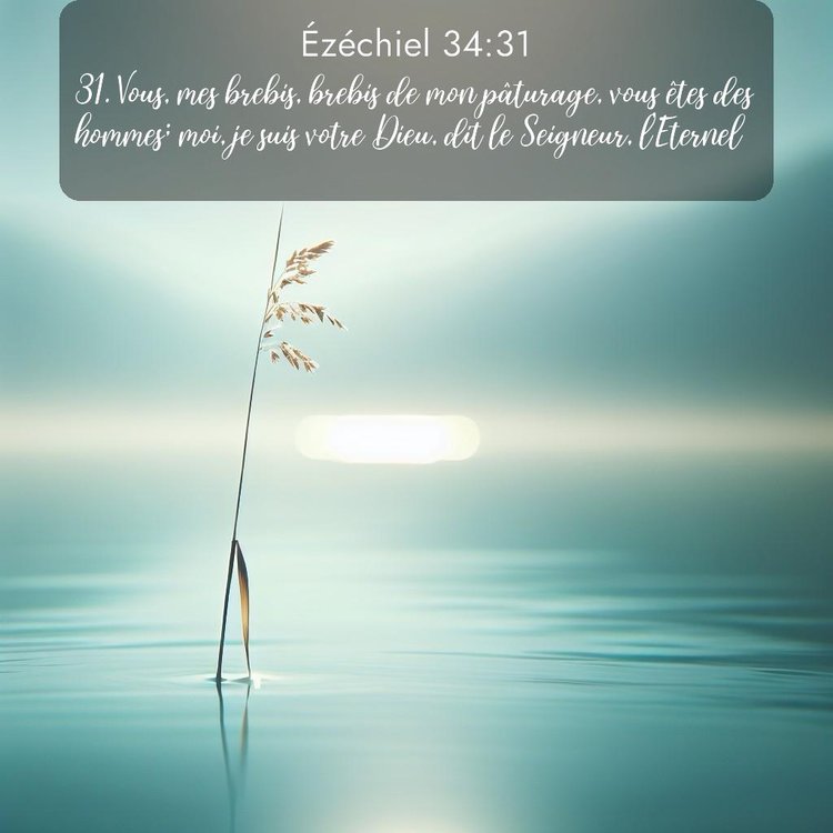 image nature avec verset biblique de la Bible