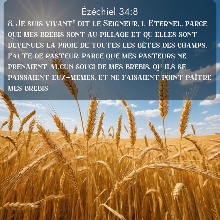 Segond Ézéchiel 34:8