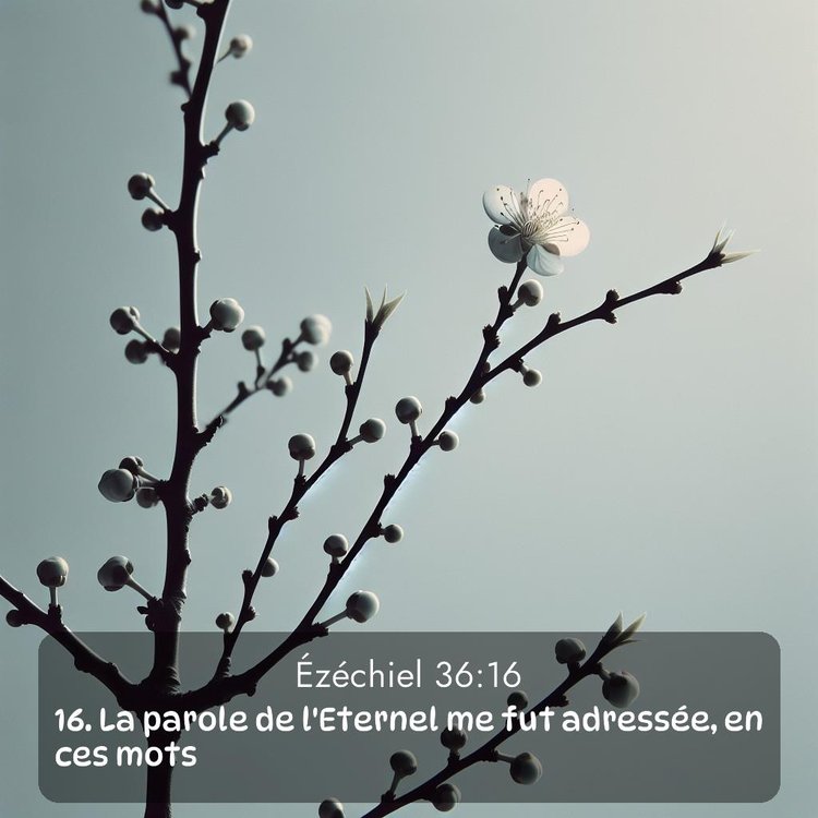 image nature avec verset biblique de la Bible