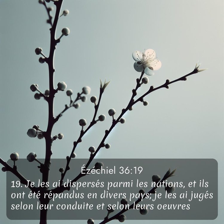 image nature avec verset biblique de la Bible