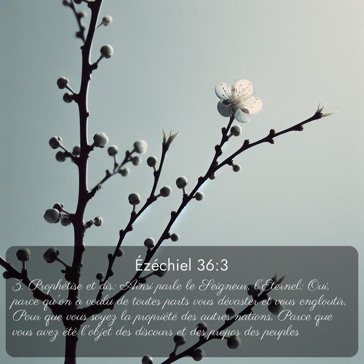 image nature avec verset biblique de la Bible