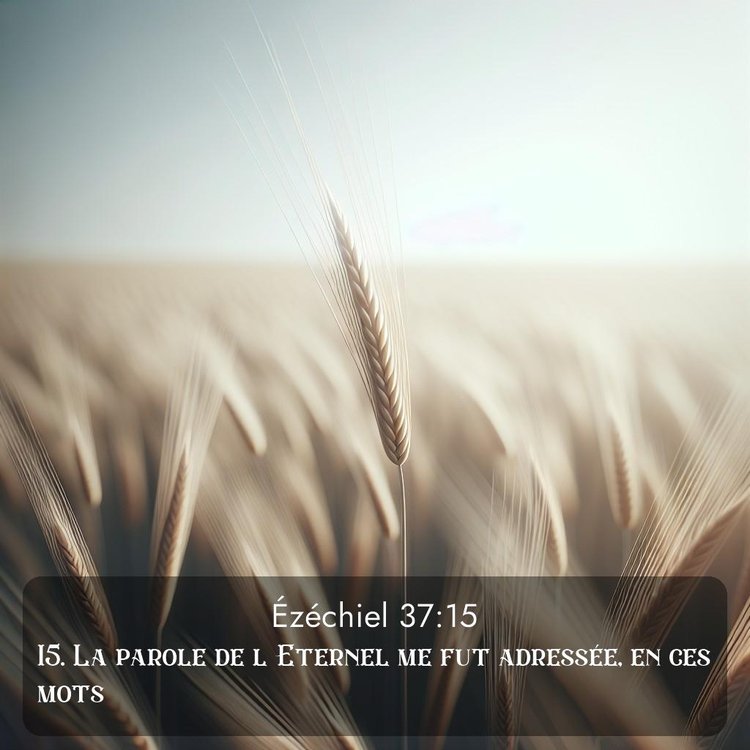 Segond Ézéchiel 37:15