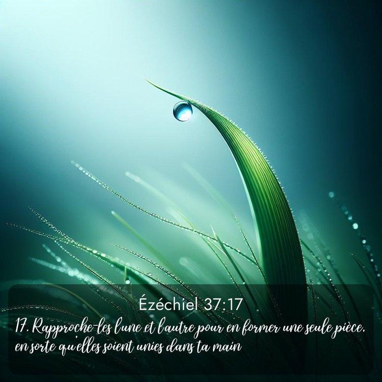 Segond Ézéchiel 37:17