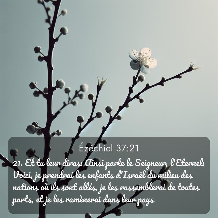 Segond Ézéchiel 37:21