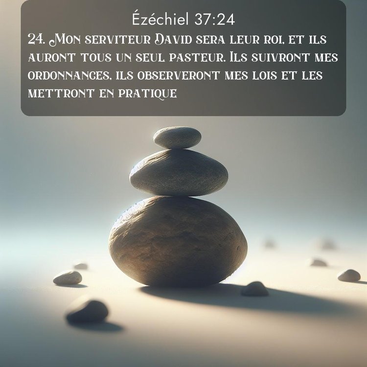 Segond Ézéchiel 37:24