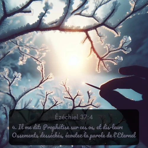 Segond Ézéchiel  ; image nature: image avec le verset biblique :Il me dit: Prophétise sur ces os, et dis-leur: Ossements desséchés, écoutez la parole de l&#039;Eternel! ;  ; 37:4
