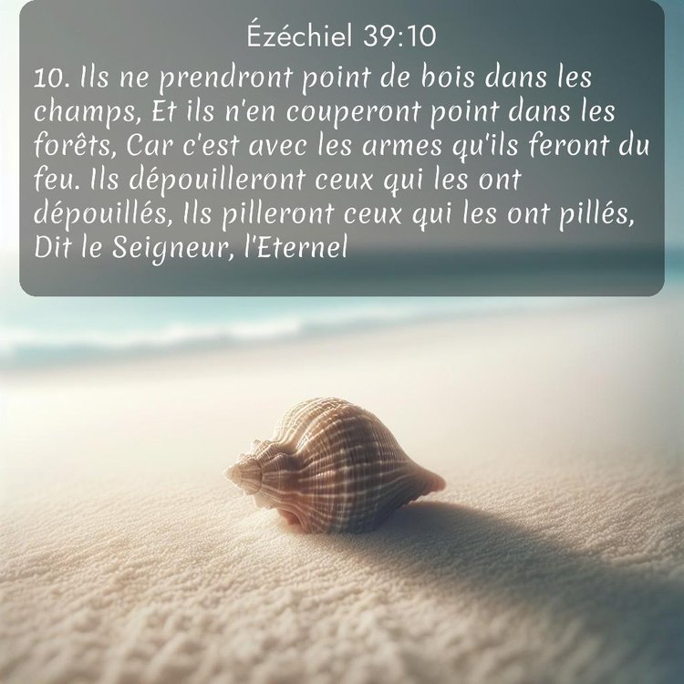 Segond Ézéchiel 39:10