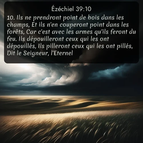 Segond Ézéchiel  ; image nature: image avec le verset biblique :Ils ne prendront point de bois dans les champs, Et ils n&#039;en couperont point dans les forêts, Car c&#039;est avec les armes qu&#039;ils feront du feu. Ils dépouilleront ceux qui les ont dépouillés, Ils pilleront ceux qui les ont pillés, Dit le Seigneur, l&#039;Eternel. ;  ; 39:10