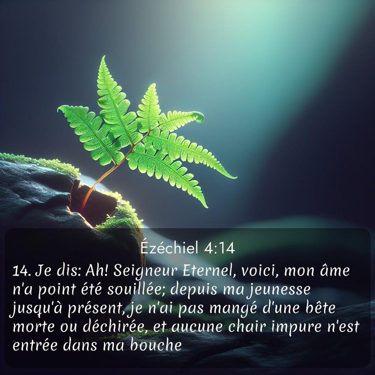 image nature avec verset biblique de la Bible