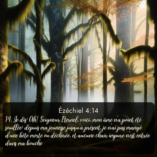 Segond Ézéchiel  ; image nature: image avec le verset biblique :Je dis: Ah! Seigneur Eternel, voici, mon âme n&#039;a point été souillée; depuis ma jeunesse jusqu&#039;à présent, je n&#039;ai pas mangé d&#039;une bête morte ou déchirée, et aucune chair impure n&#039;est entrée dans ma bouche. ;  ; 4:14