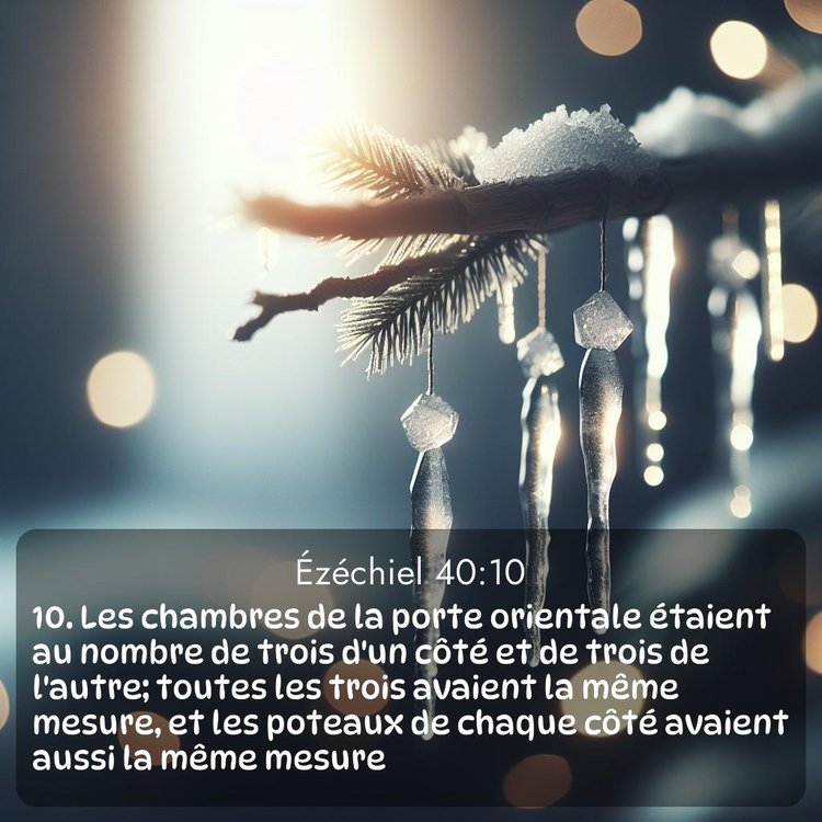 Segond Ézéchiel 40:10