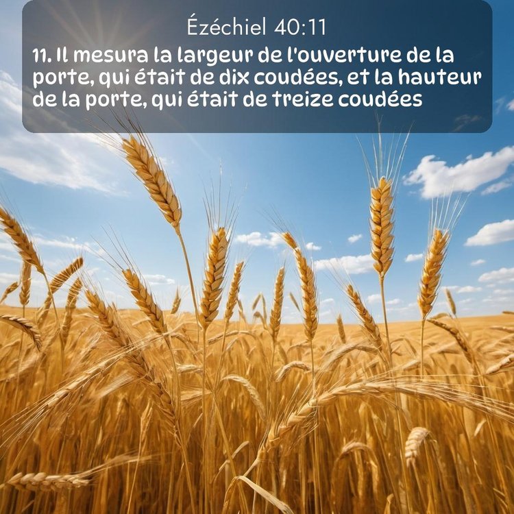 Segond Ézéchiel 40:11