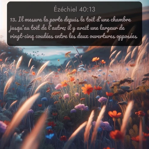 Segond Ézéchiel  ; image nature: image avec le verset biblique :Il mesura la porte depuis le toit d&#039;une chambre jusqu&#039;au toit de l&#039;autre; il y avait une largeur de vingt-cinq coudées entre les deux ouvertures opposées. ;  ; 40:13
