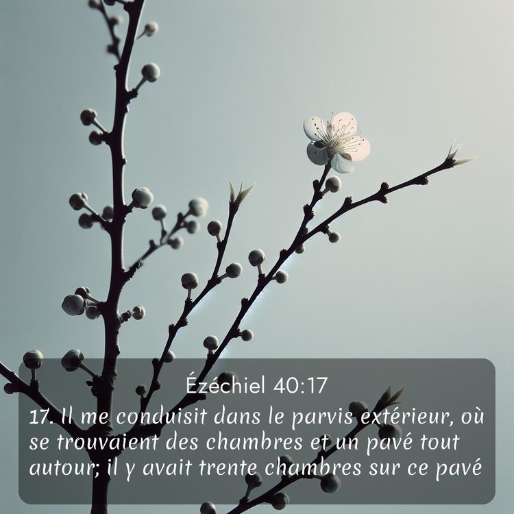 Segond Ézéchiel 40:17