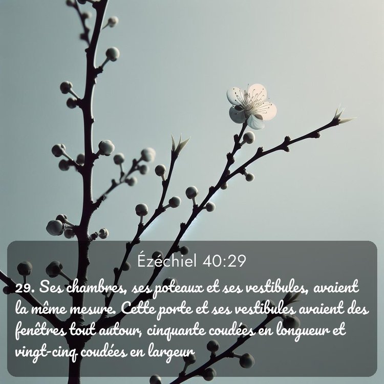 Segond Ézéchiel 40:29