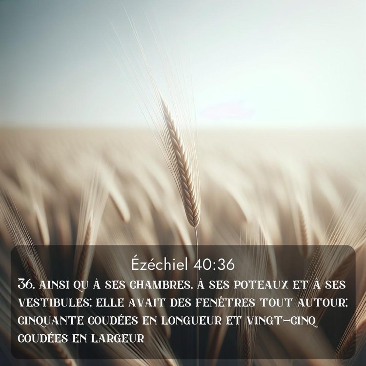 Segond Ézéchiel 40:36