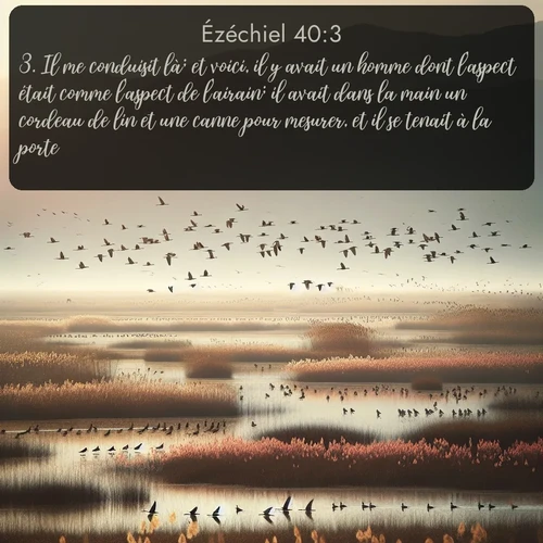 Segond Ézéchiel  ; image nature: image avec le verset biblique :Il me conduisit là; et voici, il y avait un homme dont l&#039;aspect était comme l&#039;aspect de l&#039;airain; il avait dans la main un cordeau de lin et une canne pour mesurer, et il se tenait à la porte. ;  ; 40:3