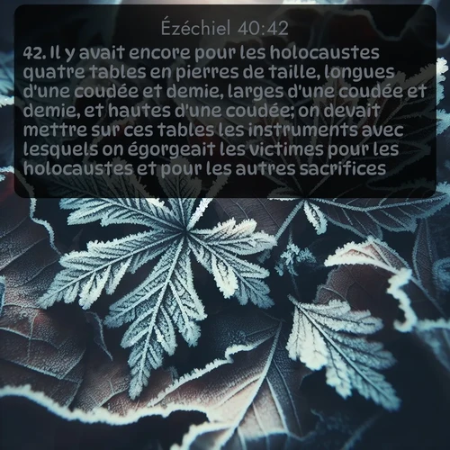 Segond Ézéchiel  ; image nature: image avec le verset biblique :Il y avait encore pour les holocaustes quatre tables en pierres de taille, longues d&#039;une coudée et demie, larges d&#039;une coudée et demie, et hautes d&#039;une coudée; on devait mettre sur ces tables les instruments avec lesquels on égorgeait les victimes pour les holocaustes et pour les autres sacrifices. ;  ; 40:42
