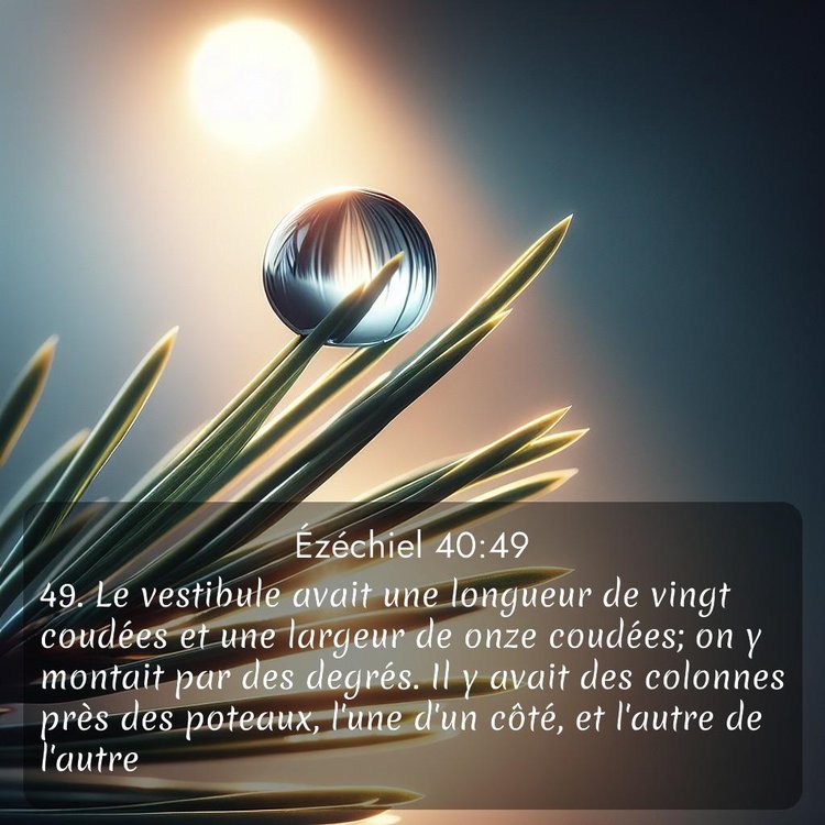 Segond Ézéchiel 40:49