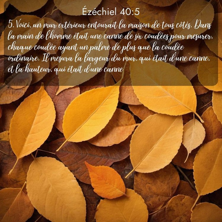 image nature avec verset biblique de la Bible