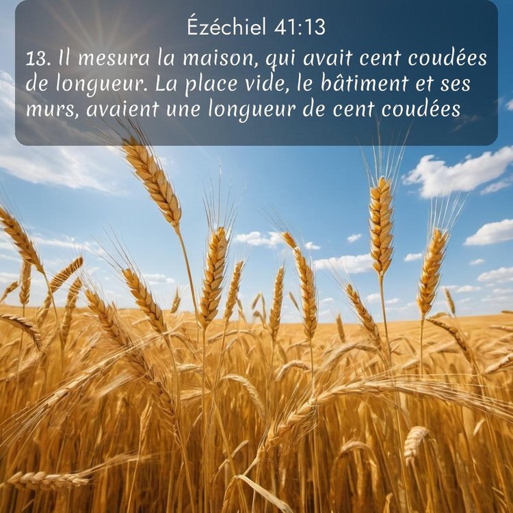 Segond Ézéchiel 41:13