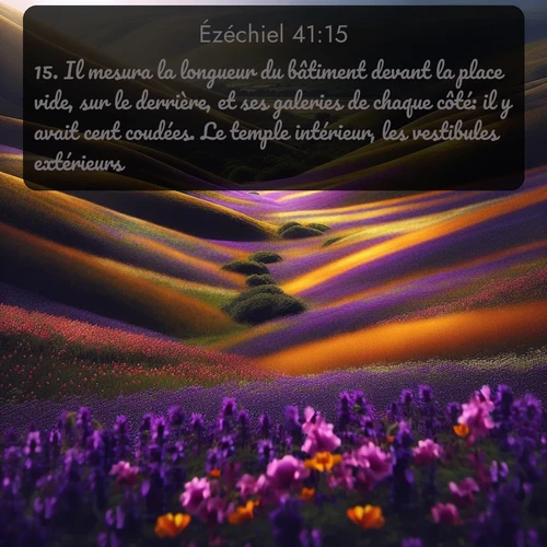 Segond Ézéchiel  ; image nature: image avec le verset biblique :Il mesura la longueur du bâtiment devant la place vide, sur le derrière, et ses galeries de chaque côté: il y avait cent coudées. Le temple intérieur, les vestibules extérieurs, ;  ; 41:15