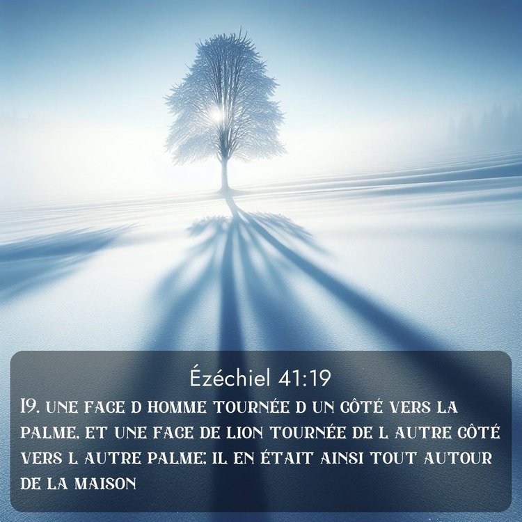 Segond Ézéchiel 41:19