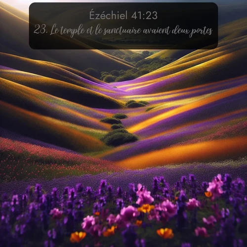 Segond Ézéchiel  ; image nature: image avec le verset biblique :Le temple et le sanctuaire avaient deux portes. ;  ; 41:23