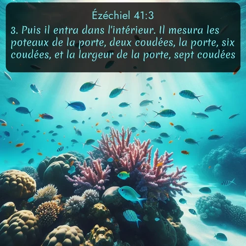 Segond Ézéchiel  ; image nature: image avec le verset biblique :Puis il entra dans l&#039;intérieur. Il mesura les poteaux de la porte, deux coudées, la porte, six coudées, et la largeur de la porte, sept coudées. ;  ; 41:3