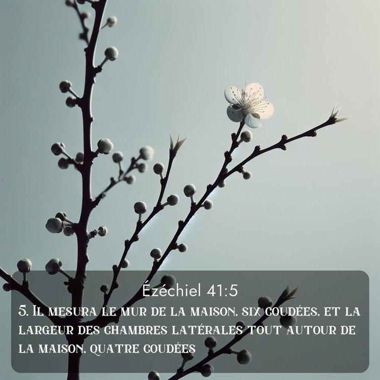 Segond Ézéchiel 41:5